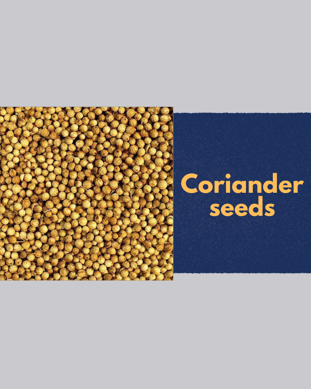 Premium Coriander Seeds (Dhaniya Seeds) | Fresh & Aromatic | 100