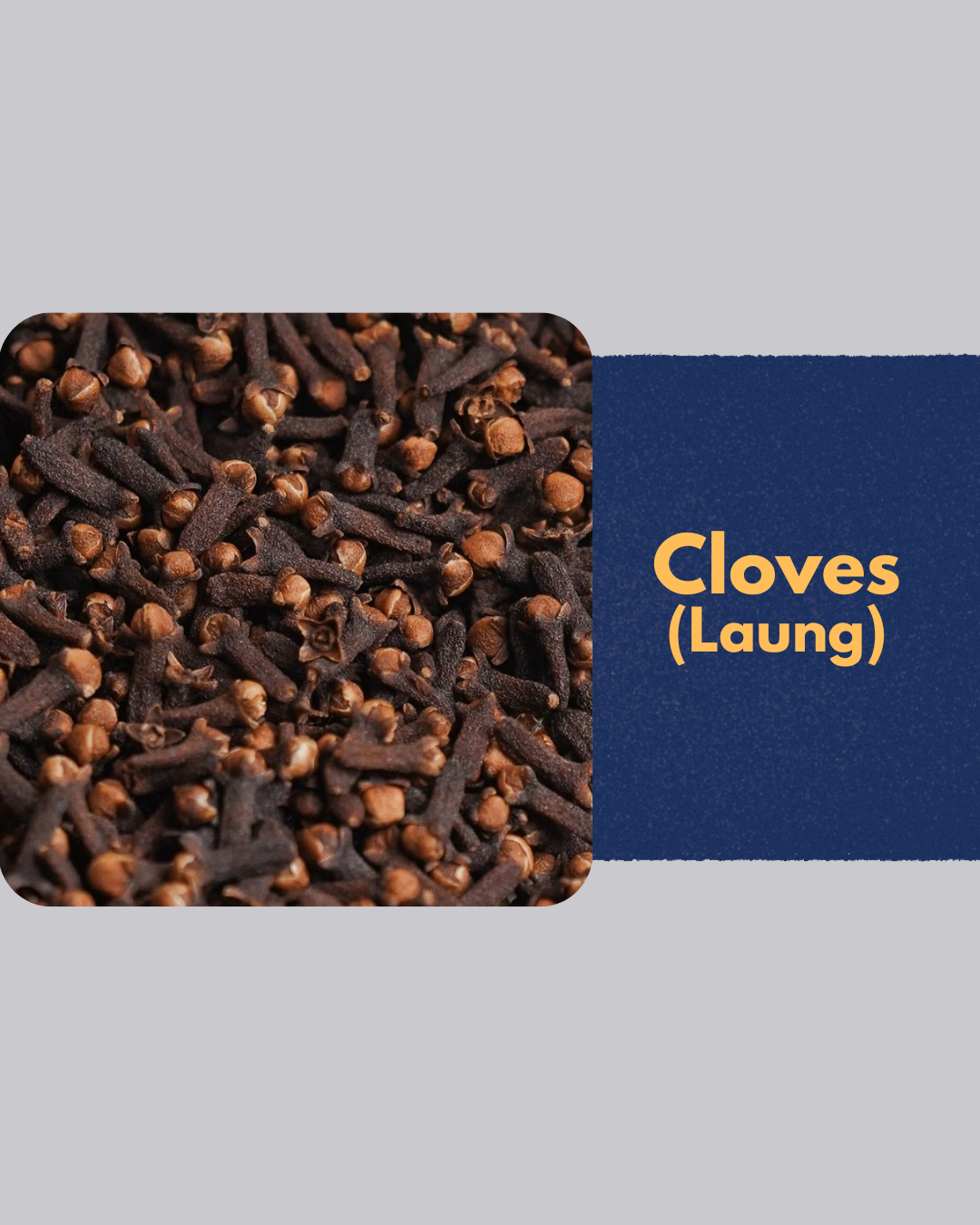 Premium Cloves (Laung) | Strong Aroma & Warm Flavour | 25g