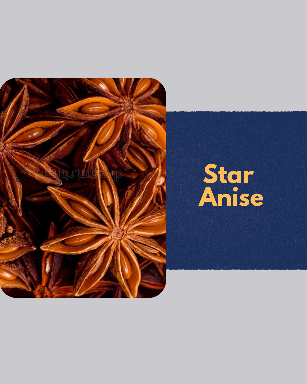 Premium Star Anise | Aromatic Whole Spice | 20g