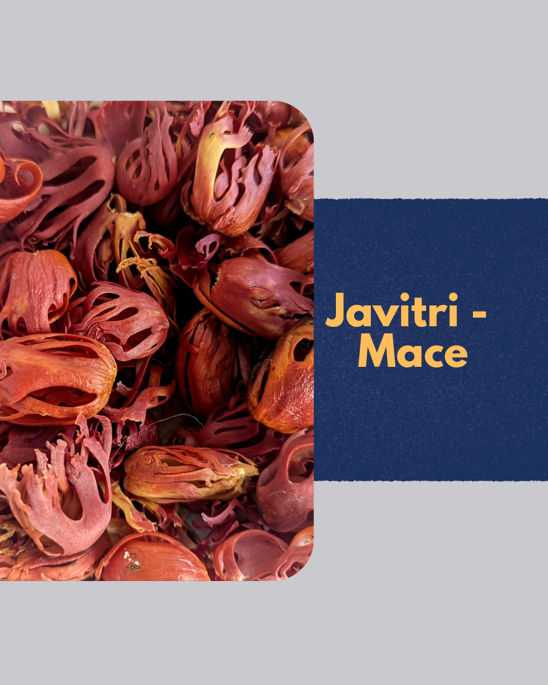 Premium Javitri (Mace) | Aromatic Whole Spice | 15g