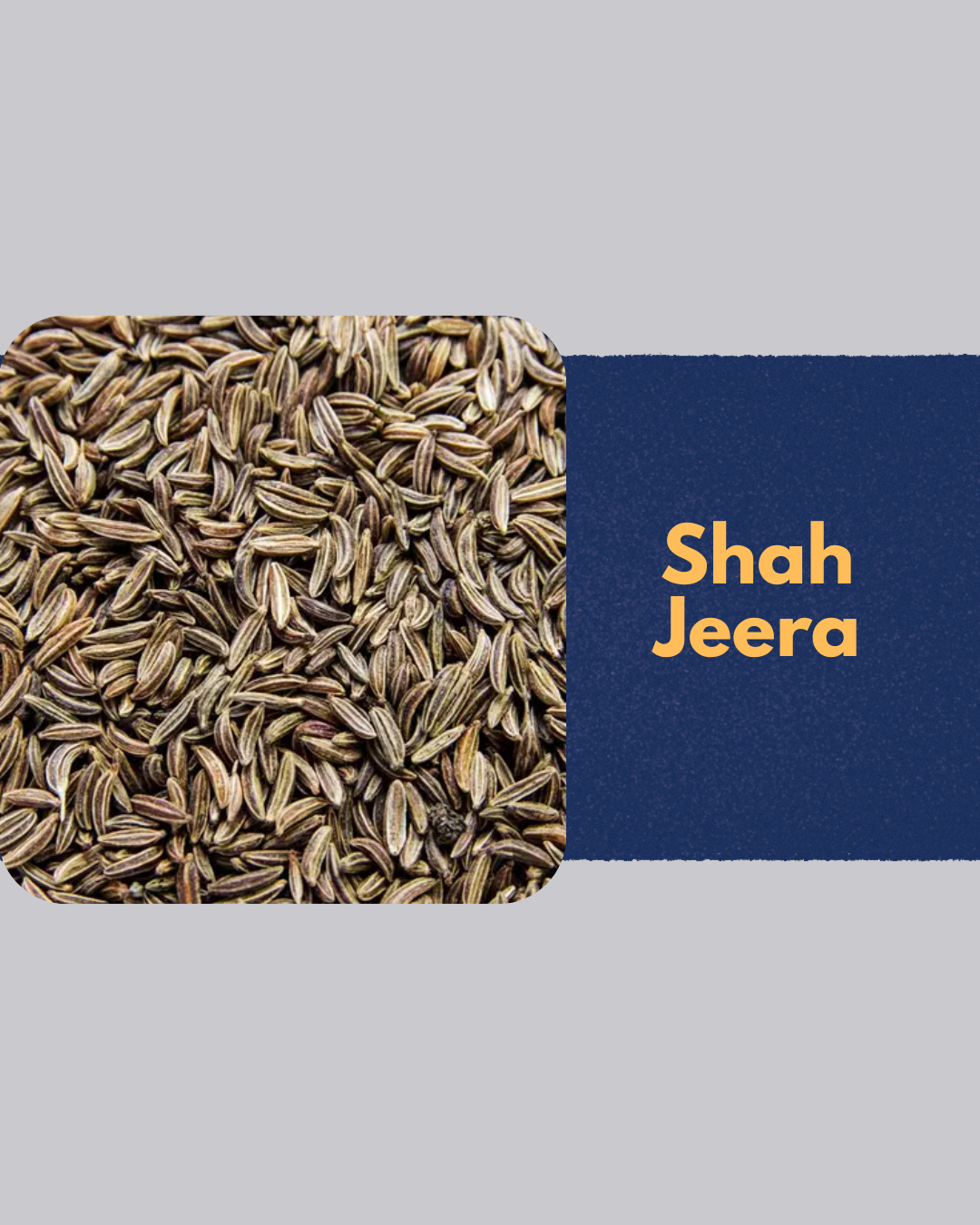 Premium Shah Jeera | Aromatic Whole Spice | 25g